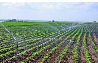 Власти готовят помощь фермерам сельское хозяйство