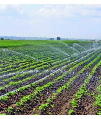 Блок ПКРМ-ПСРМ решил помочь фермерам сельское хозяйство