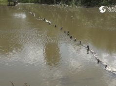 Незаконные заграждениях вдоль рек в Молдове – как решить проблему?