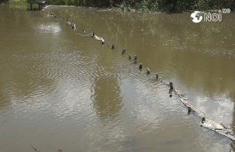 Незаконные заграждениях вдоль рек в Молдове – как решить проблему?