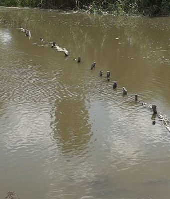 Незаконные заграждениях вдоль рек в Молдове – как решить проблему?