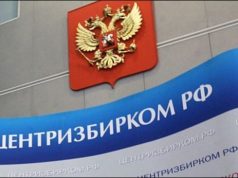 ЦИК России обработал 100% протоколов на голосовании по Конституции цик