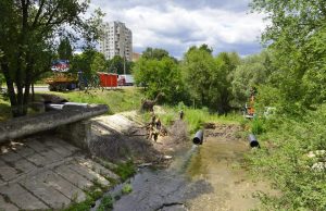 В Кишиневе чистят русло реки Бык бык