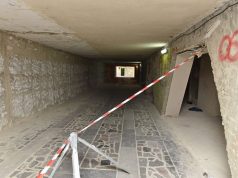 Примар сделал неутешительные выводы о состоянии дел в секторе Ботаника