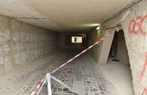 Примар сделал неутешительные выводы о состоянии дел в секторе Ботаника