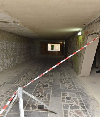 Примар сделал неутешительные выводы о состоянии дел в секторе Ботаника