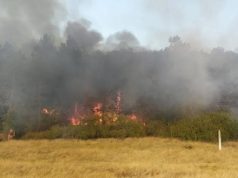 Близ Леушенской таможни произошел пожар