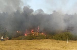 Близ Леушенской таможни произошел пожар