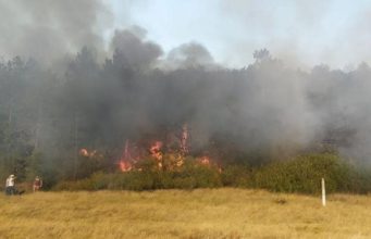 Близ Леушенской таможни произошел пожар