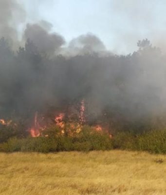 Близ Леушенской таможни произошел пожар