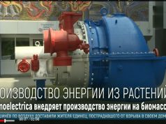 В Молдове скоро откроют первая станция производства энергии на биомассе