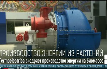 В Молдове скоро откроют первая станция производства энергии на биомассе