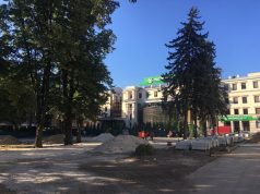 В центре Кишинева вырубили многолетние деревья