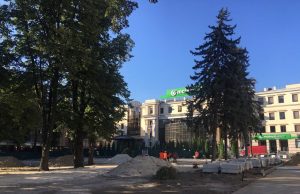 В центре Кишинева вырубили многолетние деревья
