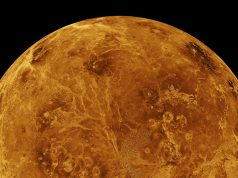 Жизнь на Венере – новые гипотезы Венера