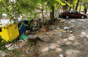 Чебан: за чистотой в Кишинёве будут следить специальные патрули