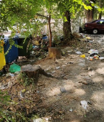 Чебан: за чистотой в Кишинёве будут следить специальные патрули