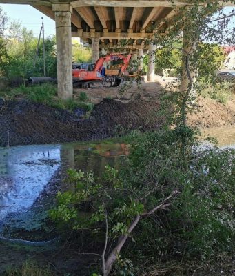 Реку Бык в Кишиневе продолжают чистить