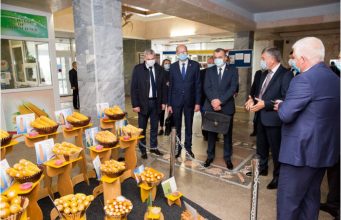 Правительство поможет восстановить отрасль семеноводства и поддержки исследователей