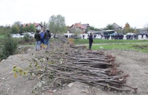 В Кишиневе посадили 10 тысяч деревьев