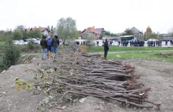 В Кишиневе посадили 10 тысяч деревьев