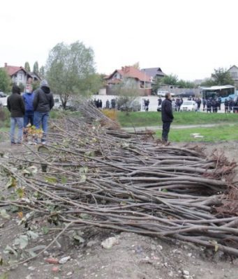 В Кишиневе посадили 10 тысяч деревьев