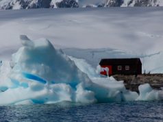 Соотечественники из Молдовы смогут бесплатно получить «арктический гектар»