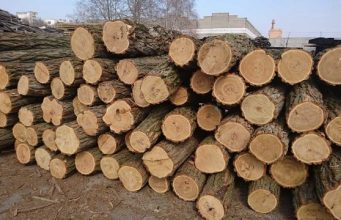 Чьи дрова: за вырубку леса в “Плаюл Фагулуй” выписаны штрафы дрова