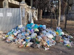 Примар Кишинева: за нарушение чистоты будут серьезные штрафы мусор