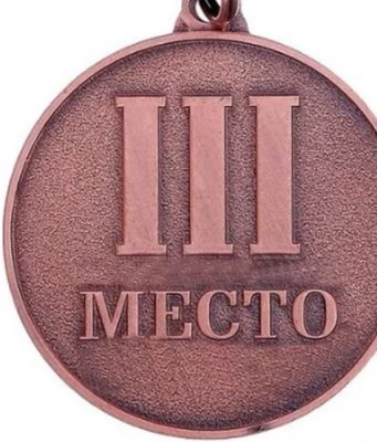 Школьница из Кишинева стала бронзовым призером Европейской олимпиады по информатике