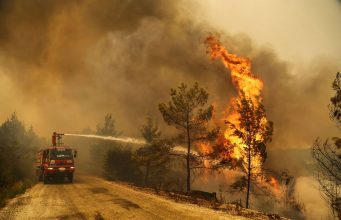 Площадь лесных пожаров в России достигла рекордной отметки