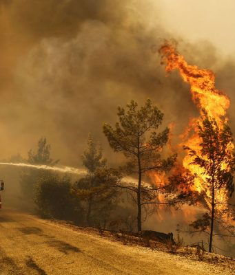 Площадь лесных пожаров в России достигла рекордной отметки