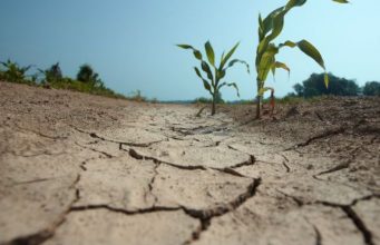 Последствия непогоды: Гагаузия просит помощи