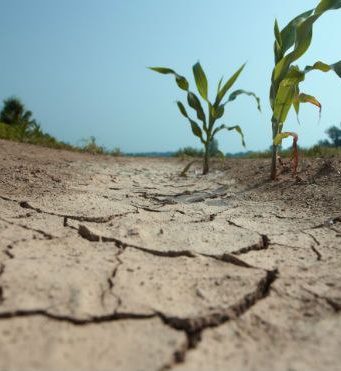 Последствия непогоды: Гагаузия просит помощи