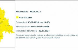 Государственный гидрометеоцентр Молдовы продлил желтый код опасности пожаров, присвоив ему пятый класс