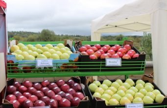 Урожай яблок в Молдове снизился на 14% в 2024 году