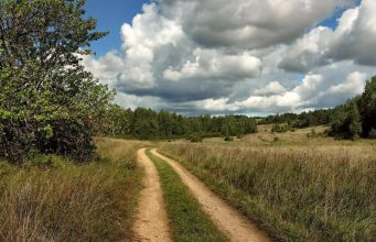 Правительство одобрило новые положения Земельного кодекса.
