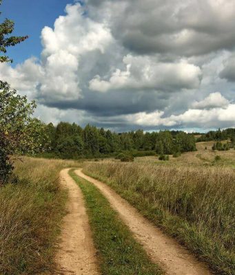 Правительство одобрило новые положения Земельного кодекса.