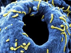 В 2024 году зафиксировано 17 вспышек опасных заболеваний, включая Marburg и H5N1