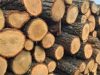 Moldsilva: В этом году цены на дрова выросли