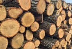 Moldsilva: В этом году цены на дрова выросли