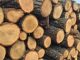 Moldsilva: В этом году цены на дрова выросли