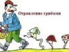 Всего за неделю в Молдове зарегистрированы десятки случаев отравлений грибами.