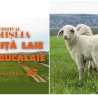 Фестиваль «Miorița Laie, Laie Bucălaie», посвященный овцеводам и козоводам, состоится в Чимишлии уже в эти выходные