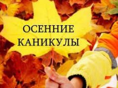 В школах Молдовы с 28 октября начинаются осенние каникулы