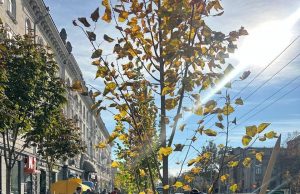 Сотрудники кишиневской мэрии и специалисты муниципального предприятия «Ассоциация зеленого хозяйства» посадили липы на проспекте Штефана чел Маре.