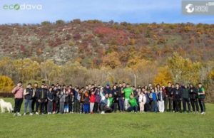 Фонд экологического развития EcoDava 2 ноября организовал волонтерскую акцию с участием более ста молодых людей, которые убирали зеленые насаждения в заповеднике «Старый Оргеев», – пишет noi.md.