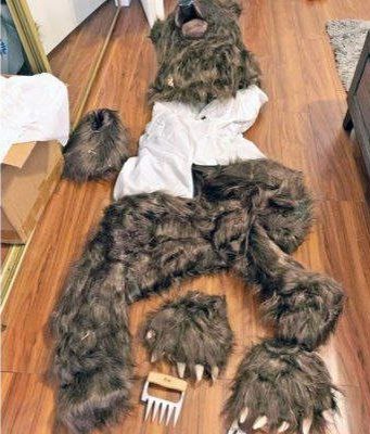 В Калифорнии поймали мошенников, которые обманули страховую на $141 тыс с помощью костюма медведя.