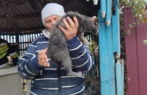 В Штефан-Водэ спасли кошку, провалившуюся в колодец