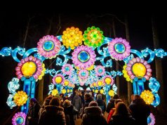 С 7 декабря по 26 января в выставочном центре Moldexpo впервые пройдет грандиозный фестиваль китайских фонарей “Lights & Dreams”, который уже успел впечатлить жителей 40 стран мира.